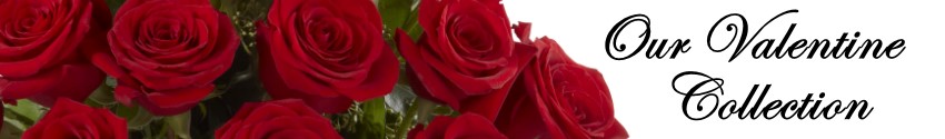 Valentine's Day flowers and Gifts for the holidaysdelivered in Omaha