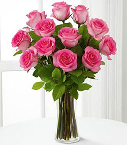 12 Pink Roses Arranged